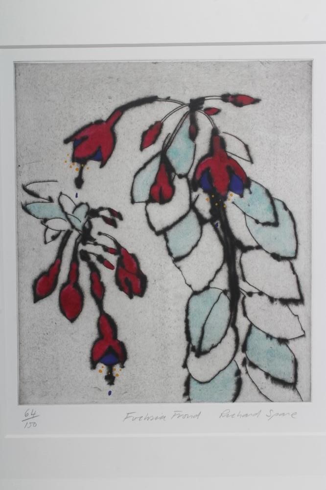RICHARD SPARE (b.1951) "Fuchsia Frond" Image