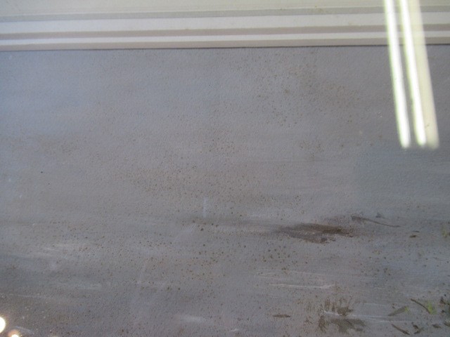 GEORGE EDWARD LODGE (1860-1954) Mallard Resting Image