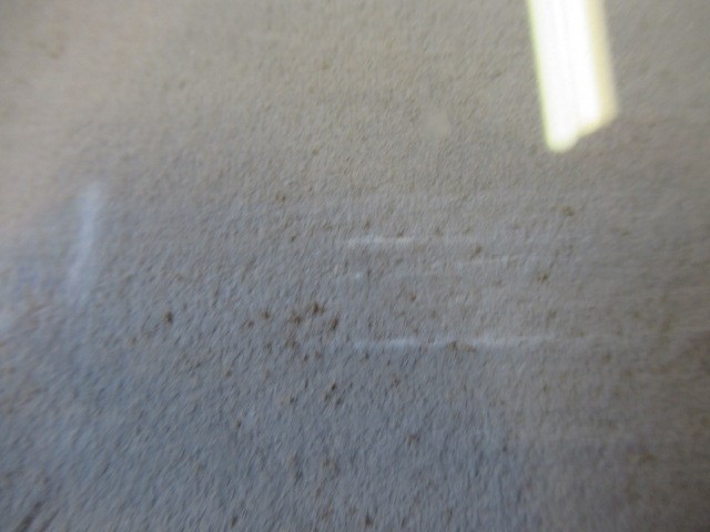 GEORGE EDWARD LODGE (1860-1954) Mallard Resting Image