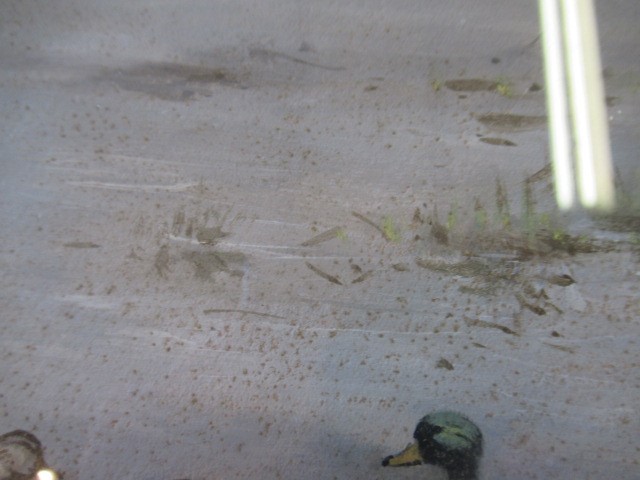 GEORGE EDWARD LODGE (1860-1954) Mallard Resting Image