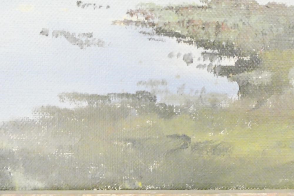 HUGH MONAHAN (1914-1970) "Mallard and Slievemore" Image