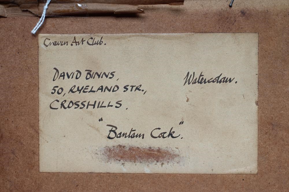 DAVID BINNS (1935-2020) Cockerel in the Orchard Image