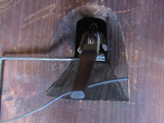 A LARGE BLACK FOREST CUCKOO CLOCK Image