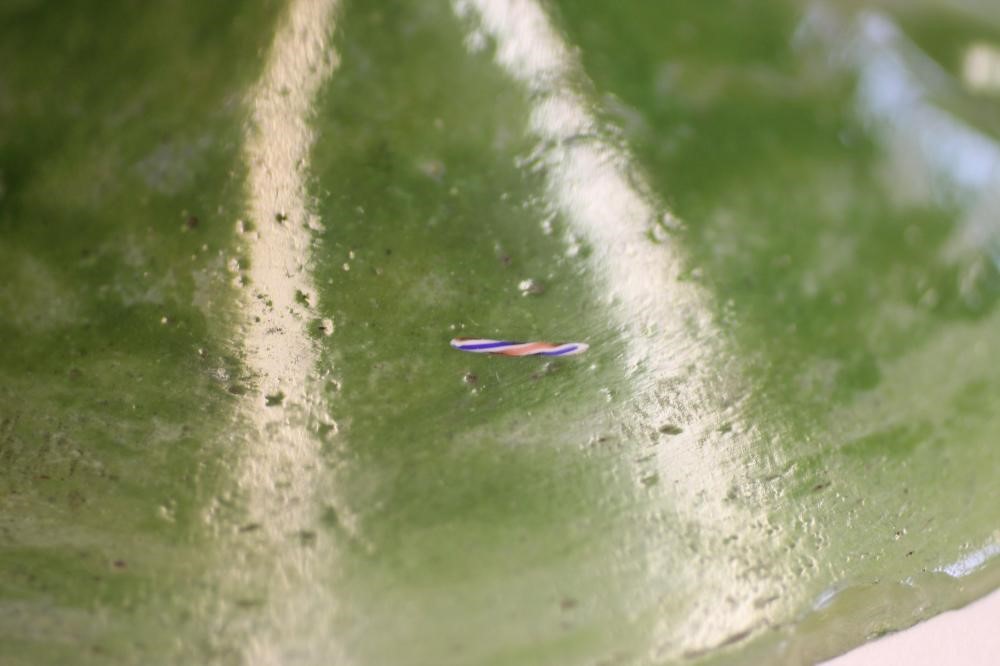 A VERRIERE SCHNEIDER GLASS ELECTRIC TABLE LAMP BASE Image