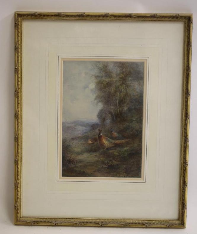 WALTER STINTON - Two Cock Pheasants and a Hen at the edge of a wood Image