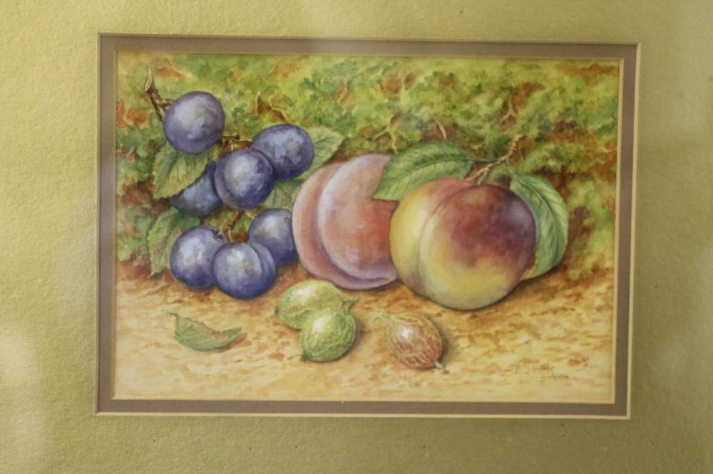 ALBERT SHUCK - Still Life of two peaches Image