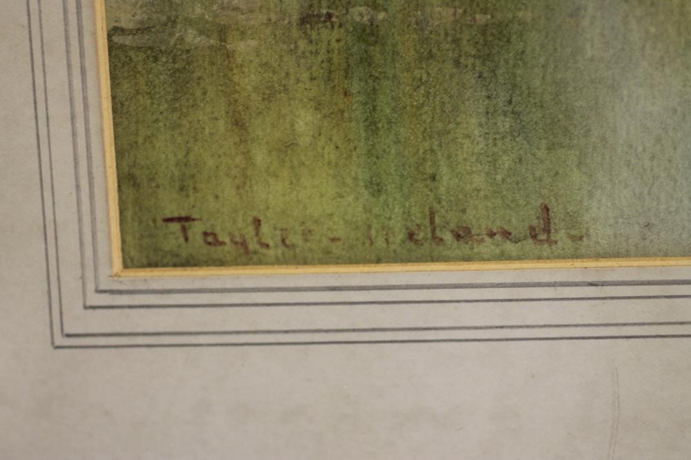 THOMAS TAYLER (Irish act.1880-1927) Image