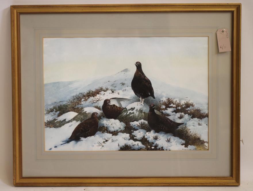 ‡BERRESFORD HILL (Contemporary) Image