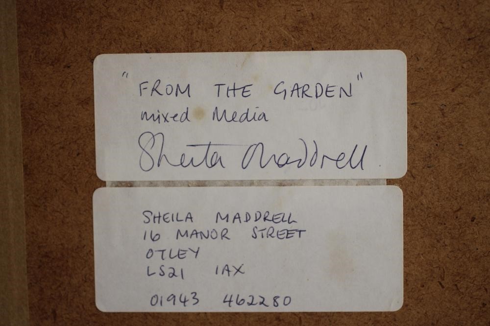 ‡SHEILA MADDRELL (Contemporary) Image