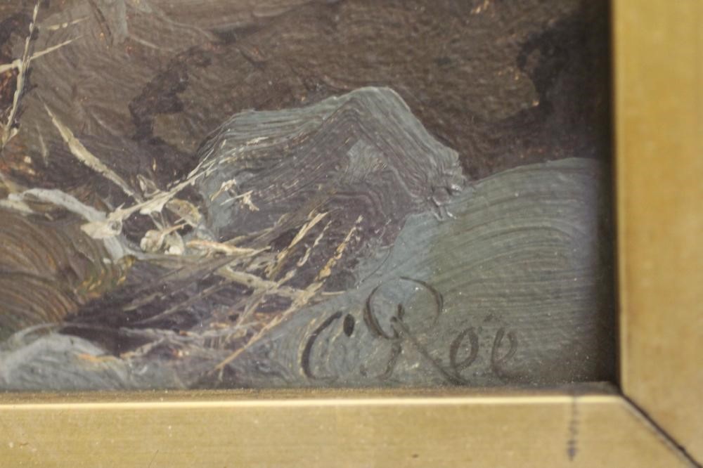 CLARENCE HENRY ROE (1850-1909) Image