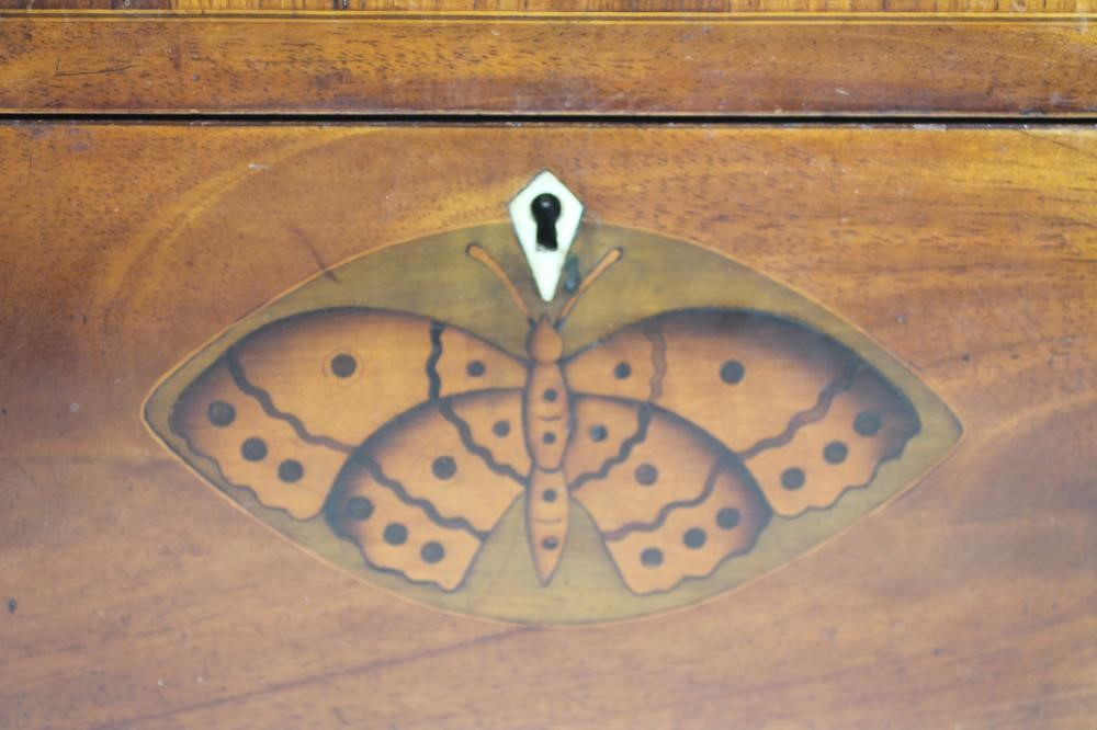 A GEORGIAN MAHOGANY TEA CADDY Image