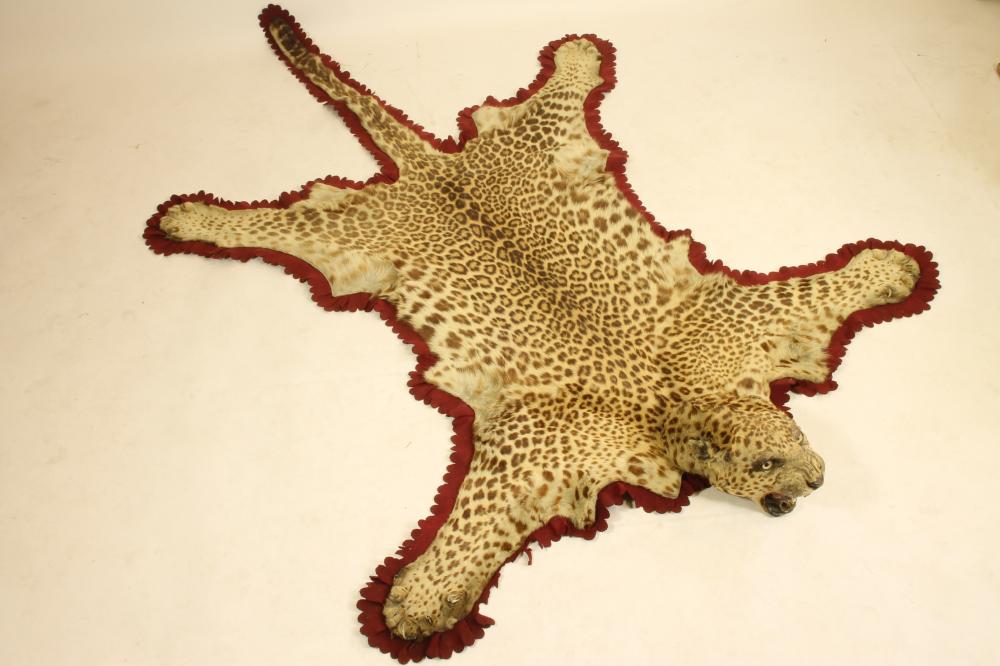 A LEOPARD SKIN RUG Image