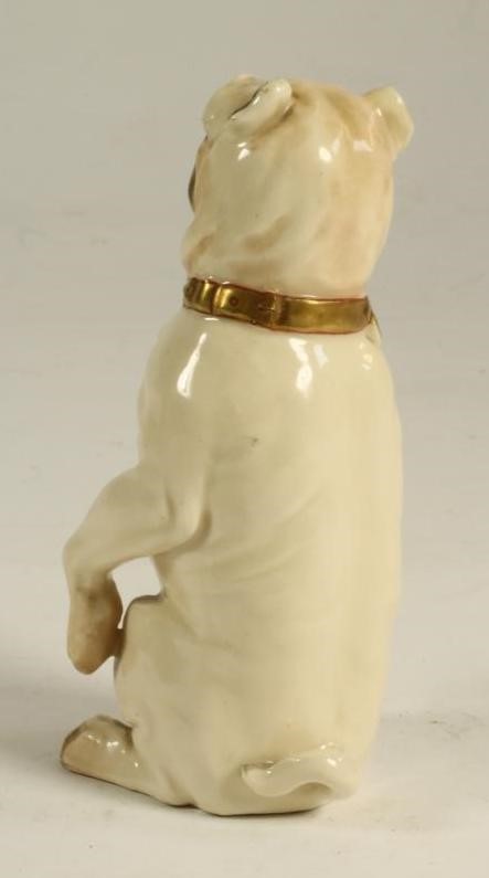 A GERMAN PORCELAIN PUG Image
