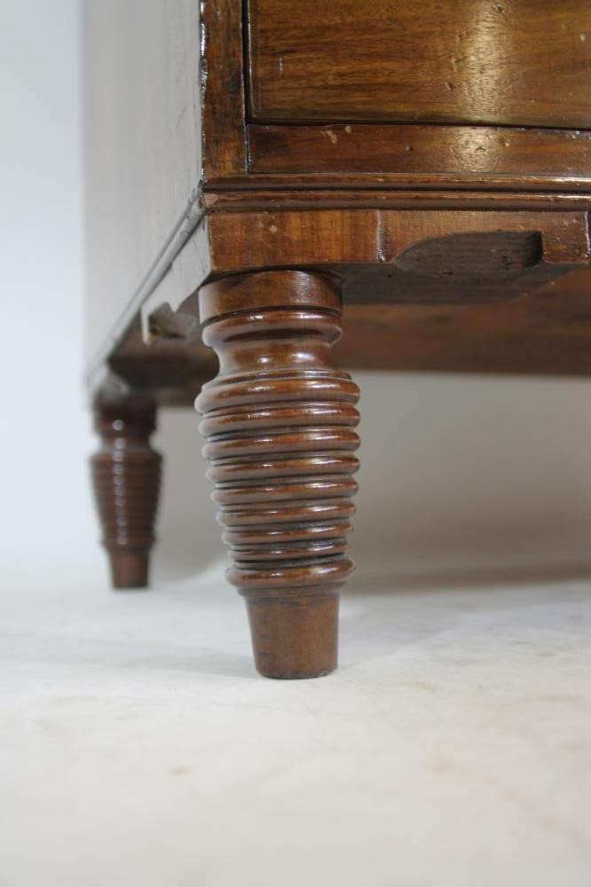 A SMALL REGENCY MAHOGANY CHEST Image