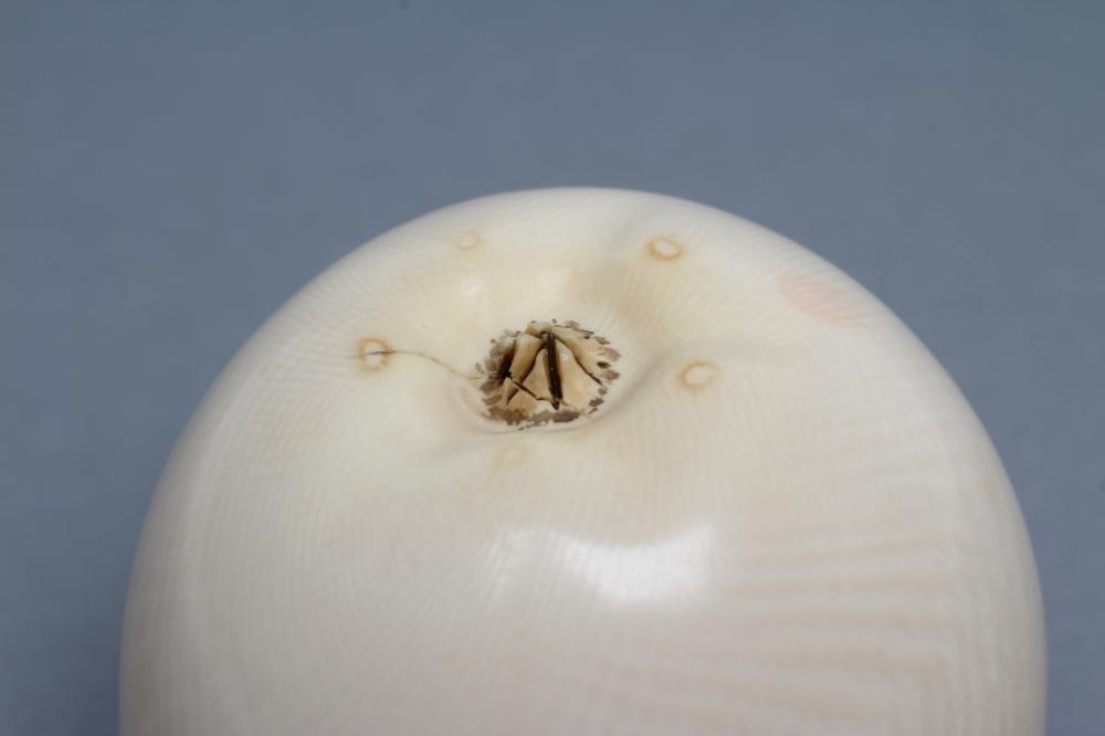 A JAPANESE IVORY APPLE Image