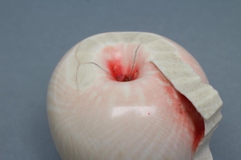A JAPANESE IVORY APPLE Image