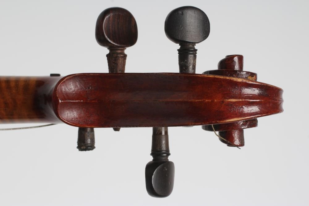 A SMALL VIOLIN Image