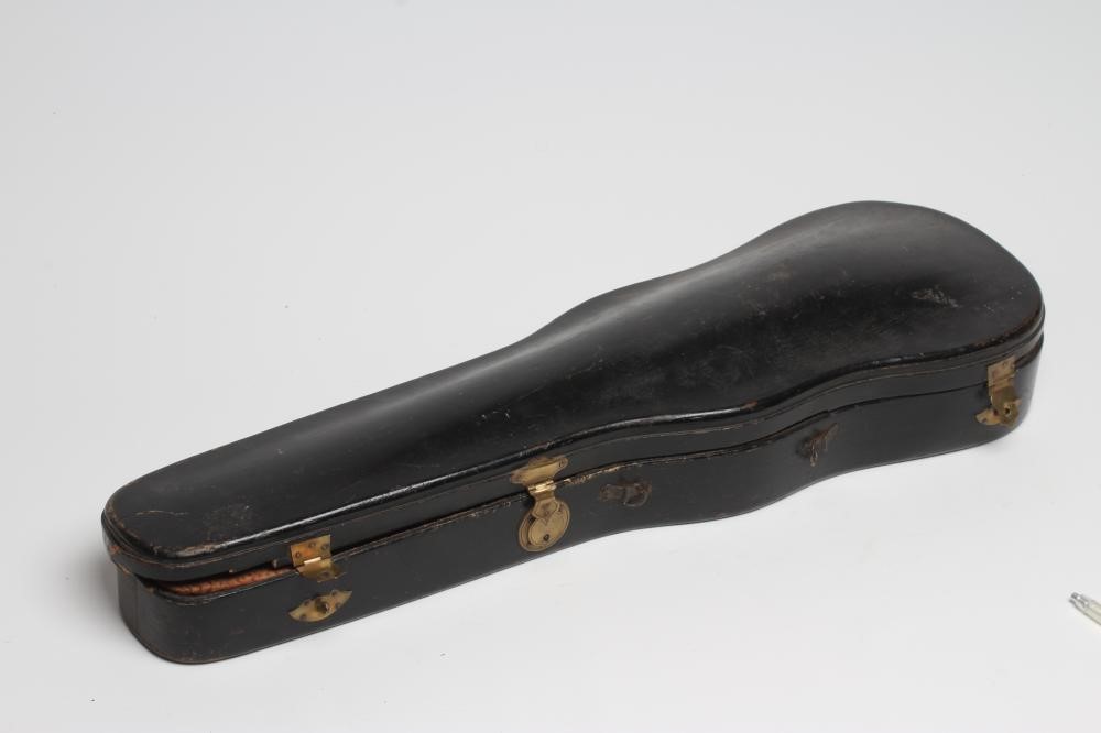 A SMALL VIOLIN Image