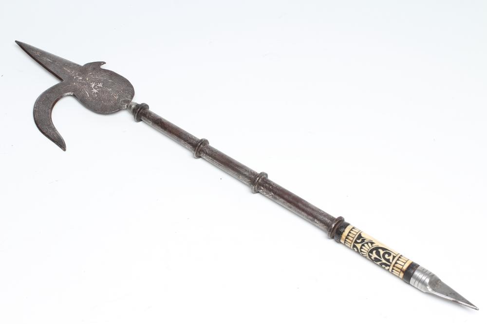 AN INDIAN ANKUS Image