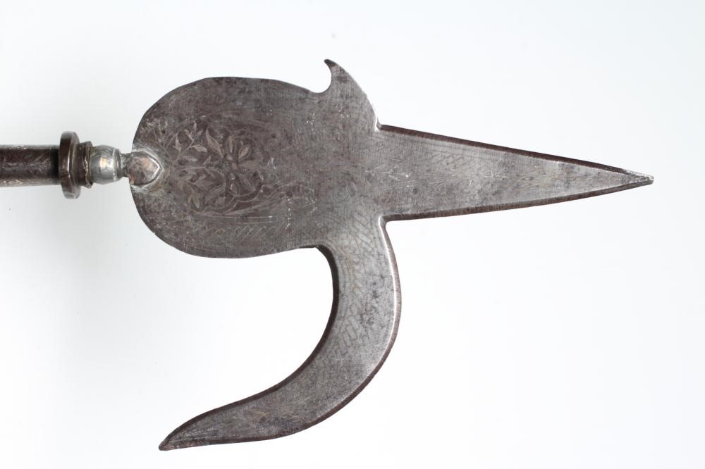 AN INDIAN ANKUS Image