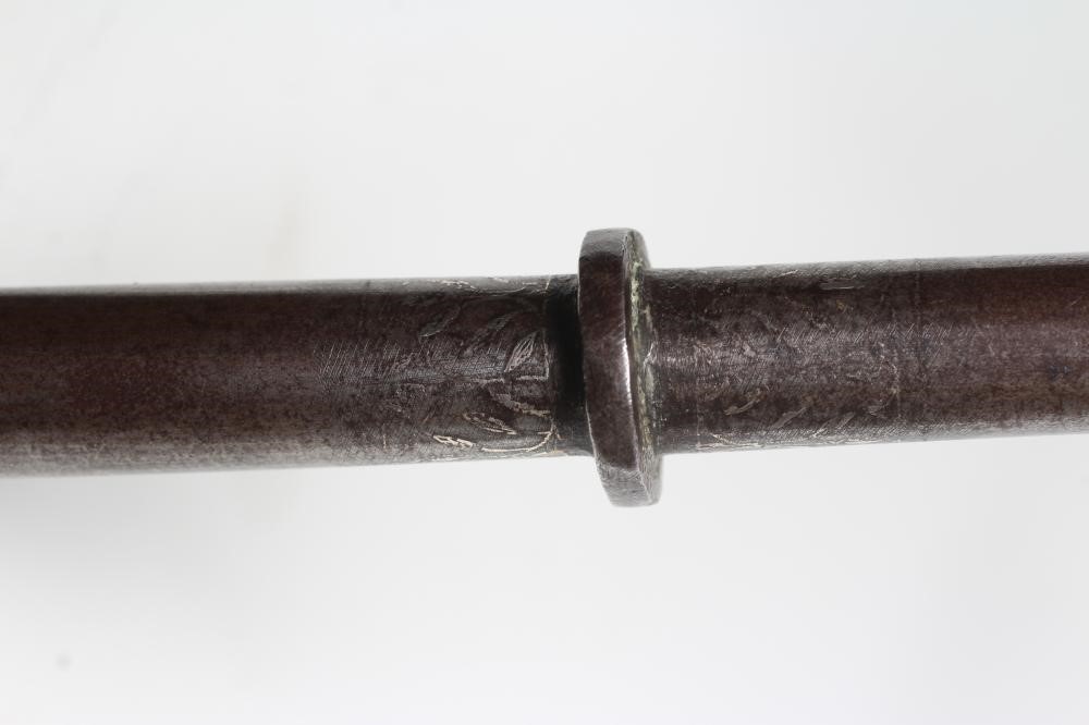 AN INDIAN ANKUS Image