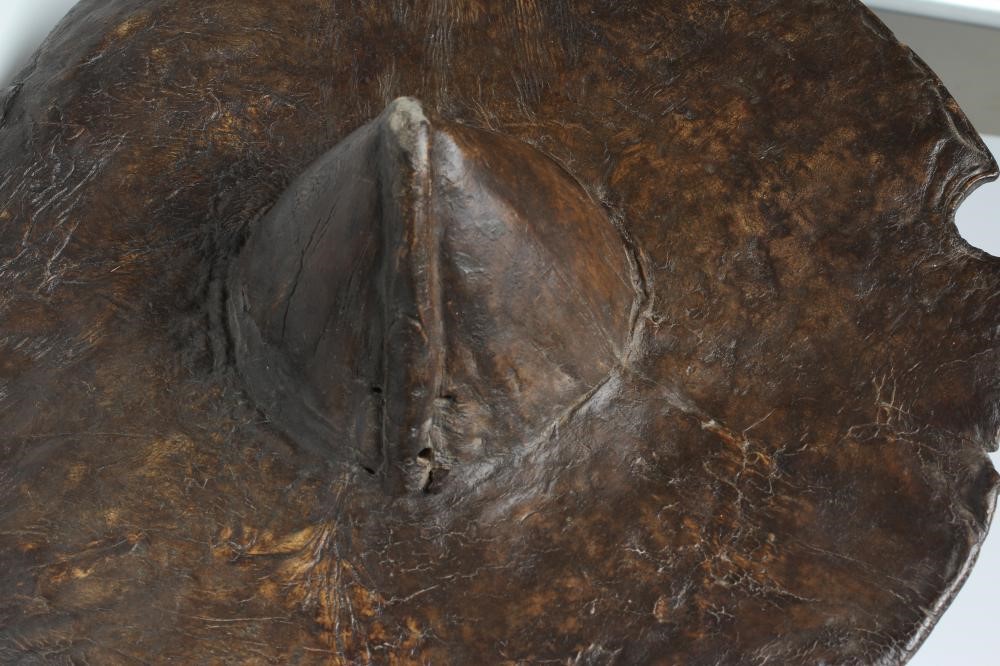 A SUDANESE BEJAN SHIELD Image