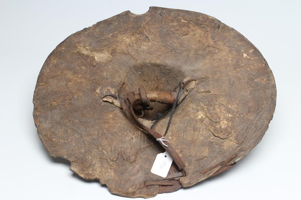 A SUDANESE BEJAN SHIELD Image