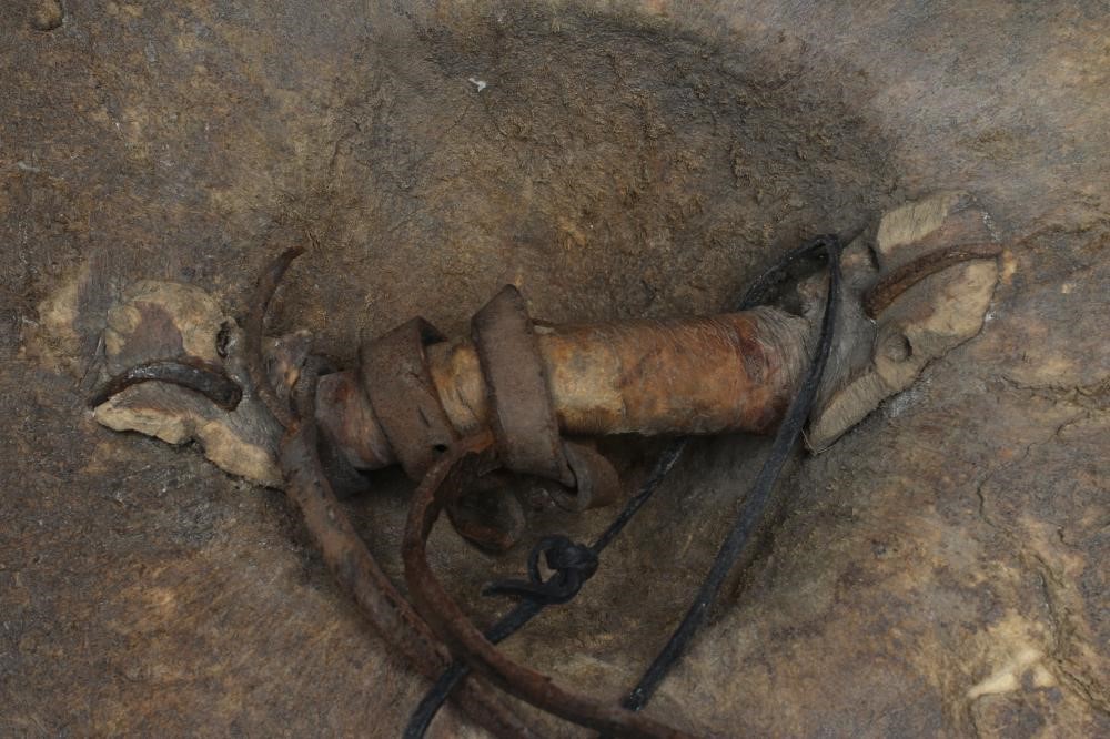 A SUDANESE BEJAN SHIELD Image