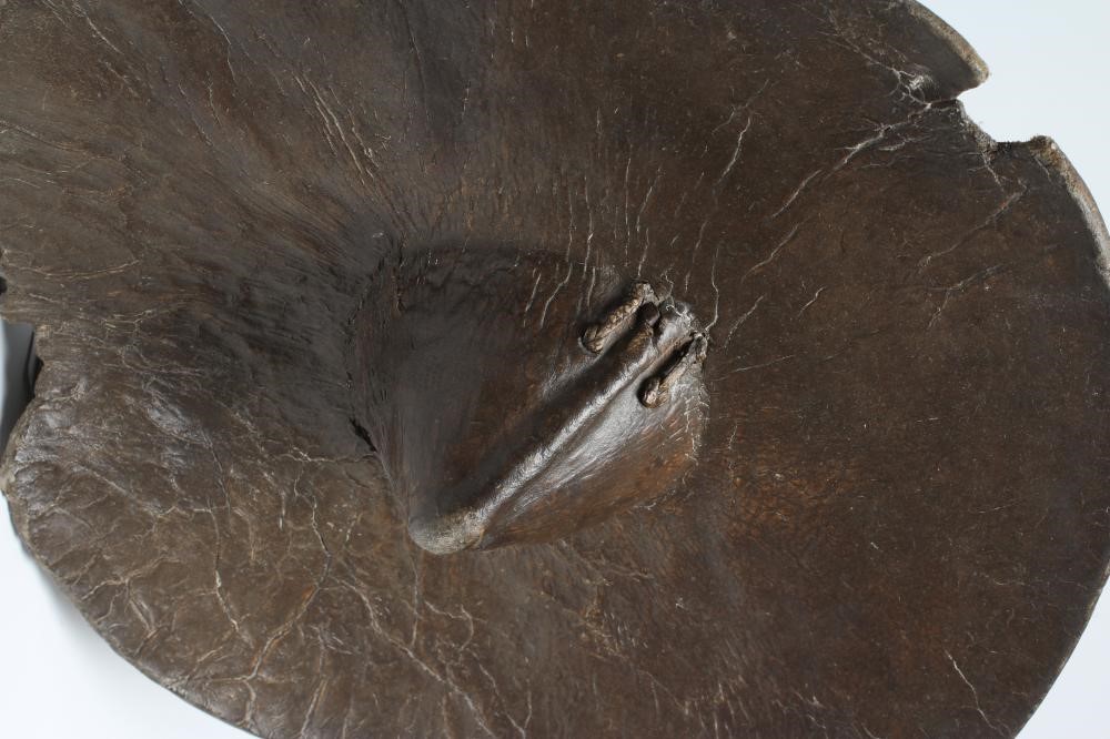 A SUDANESE BEJAN SHIELD Image