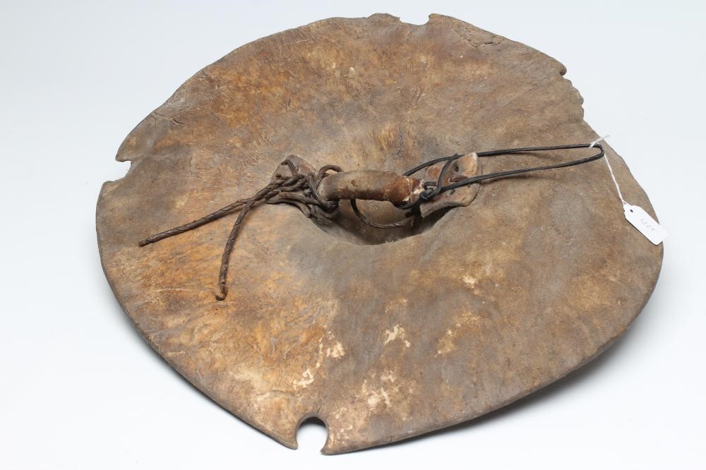 A SUDANESE BEJAN SHIELD Image