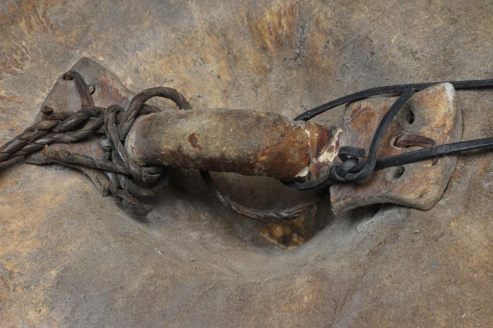 A SUDANESE BEJAN SHIELD Image