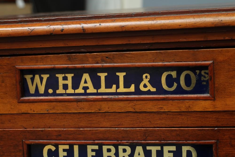 A LEPIDOPTERY COLLECTION Image