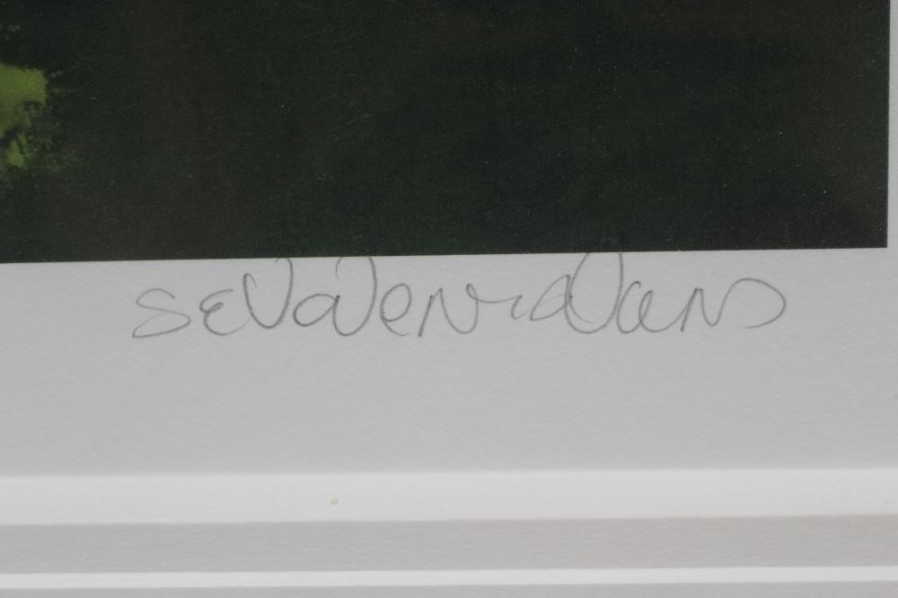 SHERREE VALENTINE DAINES (b.1959) Image