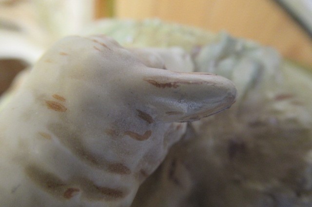 A LARGE ROYAL DUX FIGURAL VASE Image