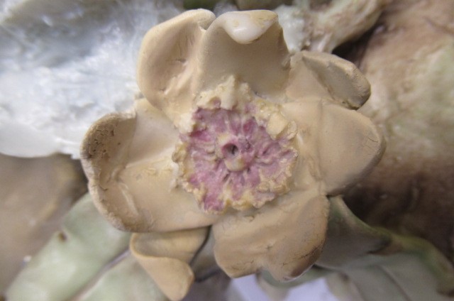 A ROYAL DUX BUST Image