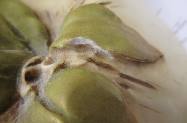 A ROYAL DUX FIGURE GROUP Image