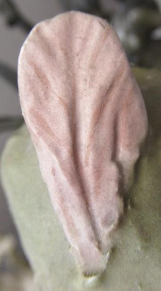 A ROYAL DUX FIGURE GROUP Image