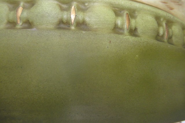 A LARGE ROYAL DUX HUNTER Image