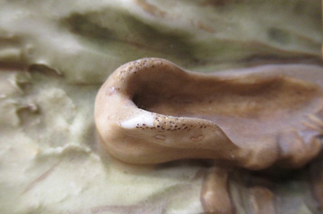 A ROYAL DUX FIGURE of the Bather Image