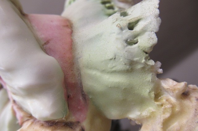 A TURN OF TEPLITZ FIGURAL TABLE CENTREPIECE Image