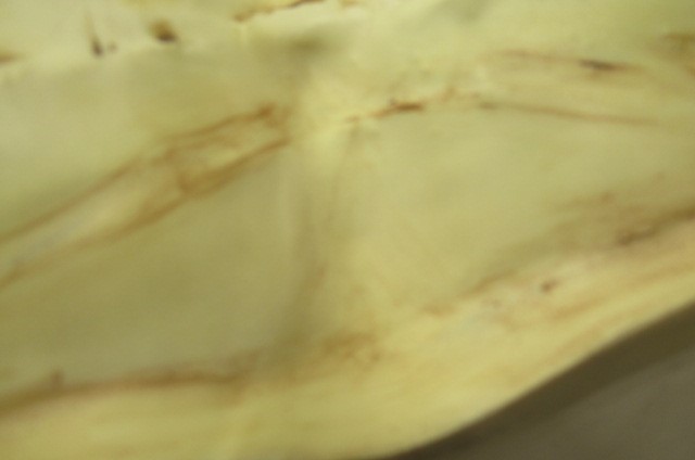 A TURN OF TEPLITZ FIGURAL TABLE CENTREPIECE Image