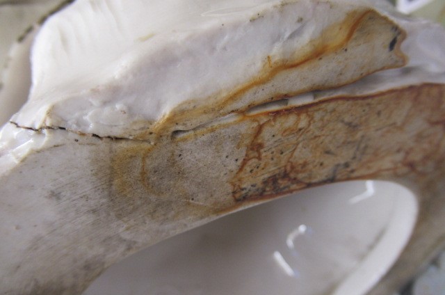 A LARGE CONTINENTAL GLAZED PORCELAIN BUST Image