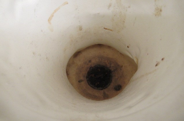 AN AUSTRIAN TWO HANDLED CAMPANA URN Image