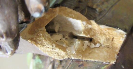 A LARGE ERNST WAHLISS ART NOUVEAU COLD PAINTED BRONZED EARTHENWARE FIGURE Image