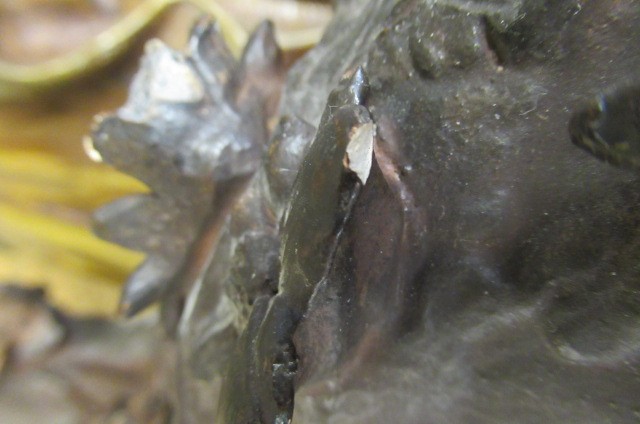 A LARGE ERNST WAHLISS ART NOUVEAU COLD PAINTED BRONZED EARTHENWARE FIGURE Image