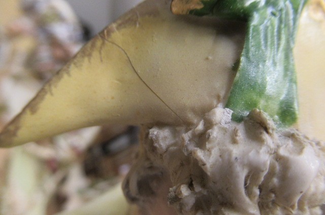 TWO PAIRS OF TURN OF TEPLITZ FIGURES Image