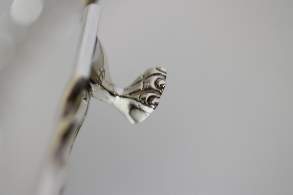 A SILVER SALVER Image