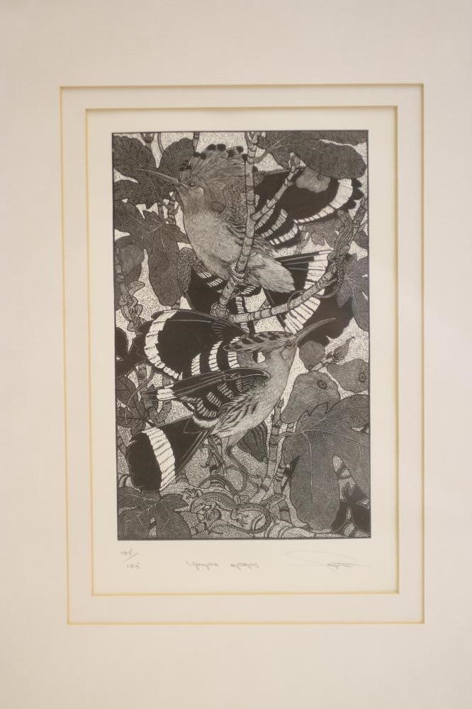 ‡COLIN F PAYNTON (b.1946) Image