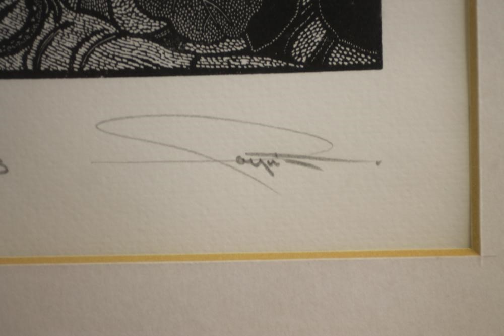 ‡COLIN F PAYNTON (b.1946) Image