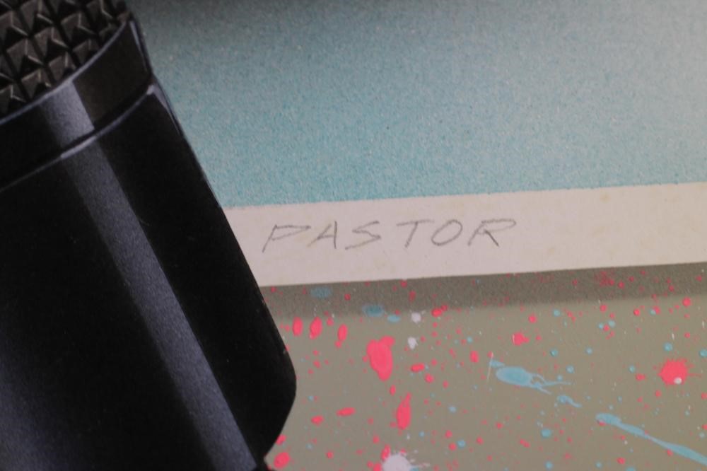 ‡TERRY PASTOR (b.1946) Image